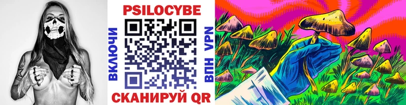 закладка  Арсеньев  Псилоцибиновые грибы мухоморы 