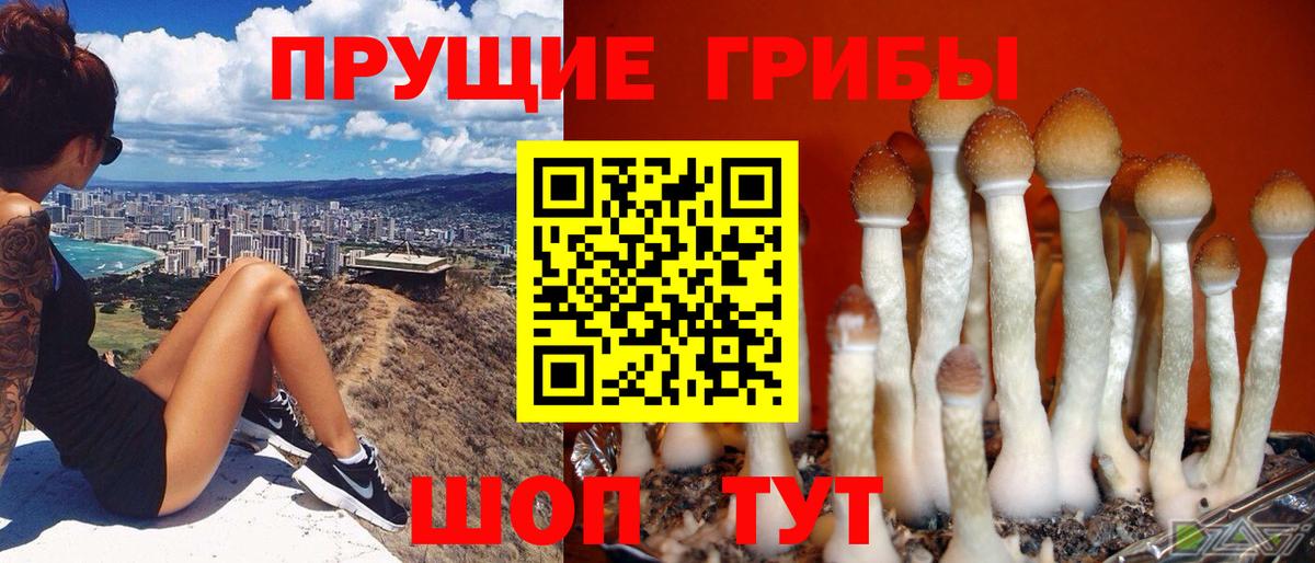 Псилоцибиновые грибы прущие грибы  где купить наркоту  Арсеньев  Вход с VPN 